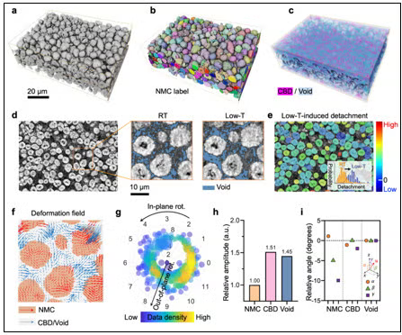 Nano-holo-tomography characterization of the composite cathode.