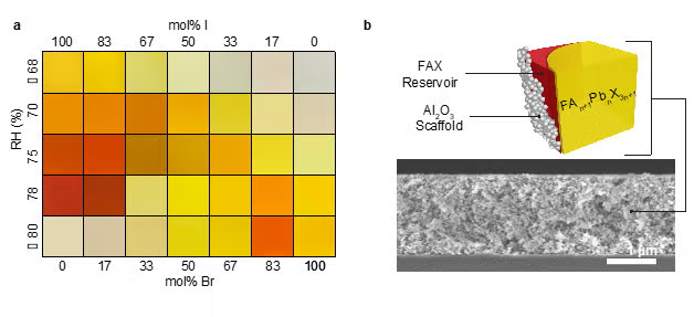 FAn+1PbnX3n+1 composite film characterization and reversible chromism.