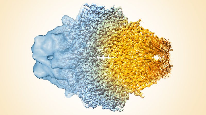 Cryo-EM