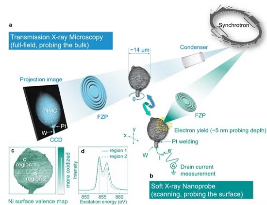 Schematic illustration of the correlative imaging for an NMC811 secondary particle. In the full-field TXM measurement
