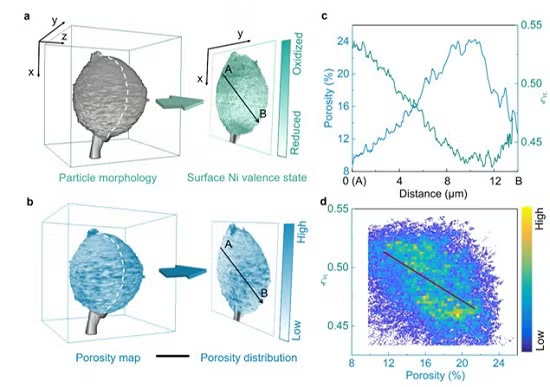 The correlation between the local surface reconstruction and the bulk porosity.
