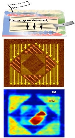  A schematic for explaining the tip-based generation of an effective in-plane electric field.