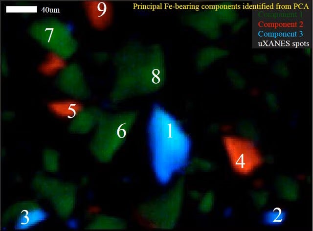 Map of the distribution of unique iron bearing components within a water-basalt system after 48 hours of reaction.