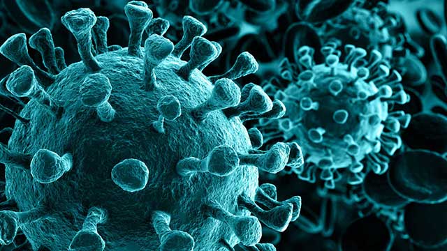 Biologiocal Structure & Drug Design Drug Design