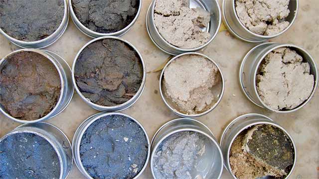 Environment & Biogeochemistry Environment & Biogeochemistry