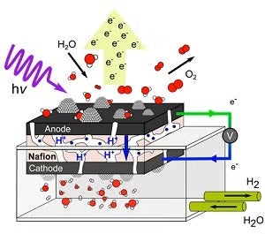 Schematic drawing of an electrochemical cell setup
