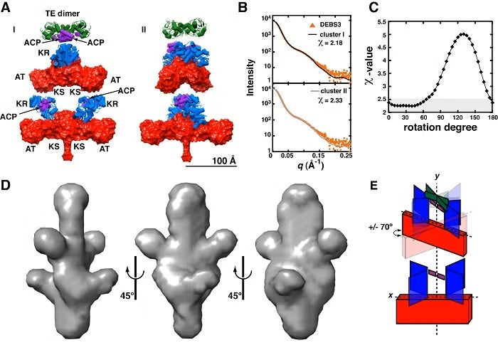 Ten independent rigid body refinement models