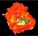 Snapshot of 3D elemental mapping 