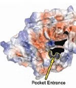 The PT dimer crystal structure.
