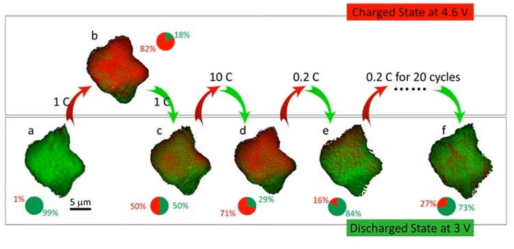 In situ monitoring of the chemical heterogeneity