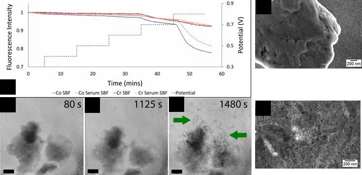 Fluorescence intensity of Co (at 7757eV) and Cr (at 6009 eV) as a function of time and potential