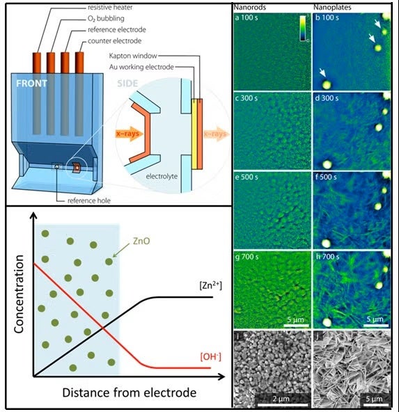 Schematic of customized 3D-printed electrochemical cell.