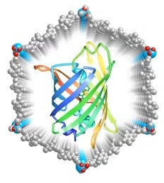 MOF Porosity Figure 1