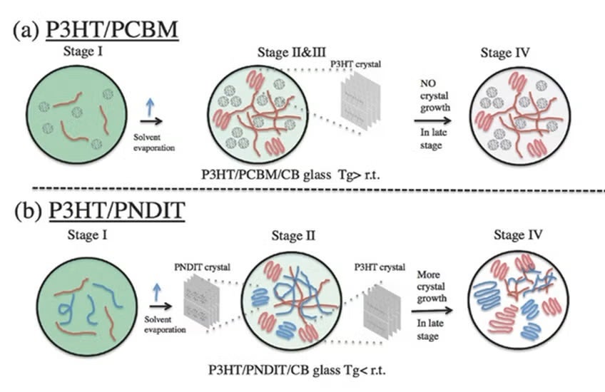 A schematic showing the comparison of the morphology development for the two blend systems investigated