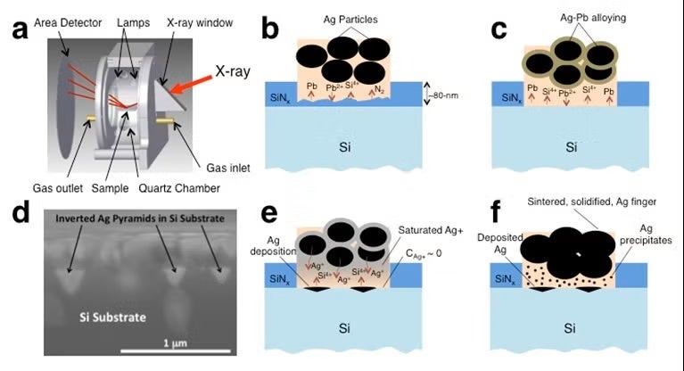 Schematic of RTP chamber