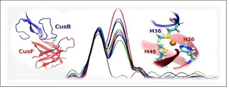 Se EXAFS Fourier transforms