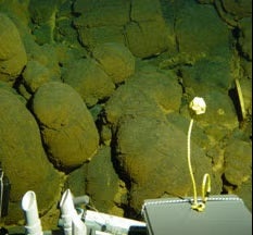 Pillow basalts on the side of the volcano.