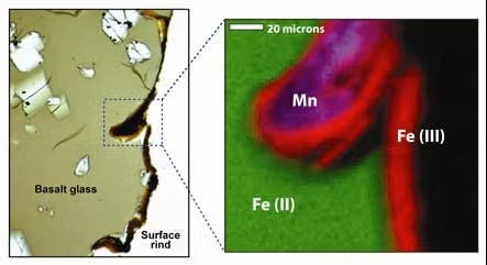 Seafloor Biofilms