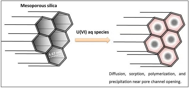 Schematic of uranium