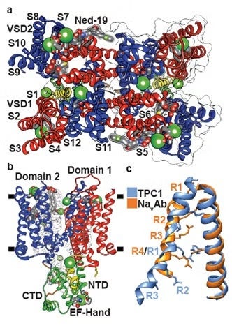 Overview of the TPC1 Structure. 
