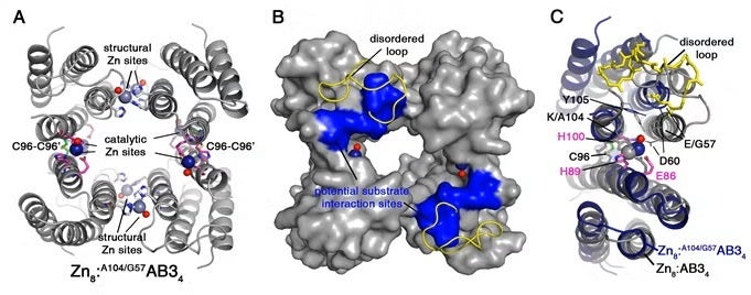 Crystal structure of Zn8:A104/G57AB34.