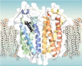 Crystal structure of RsTSPO (4UC1)