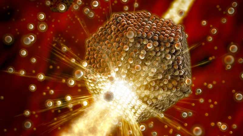 Materials Sciences