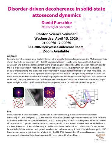 Disorder-driven decoherence in solid-state attosecond dynamics